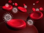 Blood Cell And Virus Stock Photo