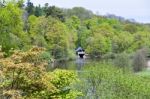 Winkworth Arboretum Stock Photo