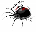 Australian Redback Spider Stock Photo