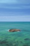 View Of Split Point Beach During The Day Stock Photo