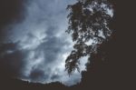 Dark Mountain With Silhouettes Of Trees Growing On The Edge Stock Photo