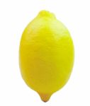 Lemon On White Background Stock Photo