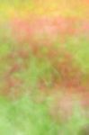 Blurred Floral Field Background. Blurred Nature Background Stock Photo