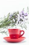 Red Cup Of Cofee And Static Flower Stock Photo