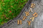 Wooden Earth Day Word On Wood Log Background. Save The Earth Idea Stock Photo