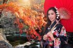 Asian Woman Wearing Traditional Japanese Kimono With Red Umbrella In Autumn Stock Photo