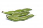 Broad Beans Stock Photo