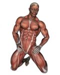 Human Muscular System Stock Photo