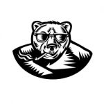 Bear Smoking Cigar Woodcut Stock Photo