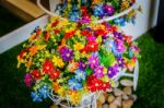 Flowers  Pots Vintage Stock Photo