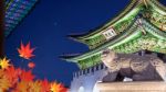 Gyeongbokgung Palace And Autumn Rea Maple Leaves At Night In Seoul,south Korea Stock Photo