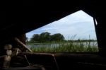 Lakeside Through A Wooden Window Stock Photo