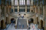 People Exploring  The National History Museum In London Stock Photo