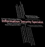 Information Security Specialist Shows Skilled Person And Special Stock Photo