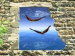 Broken Wall With Flying Eagle Stock Photo