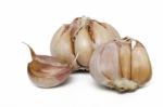 Garlic Bulbs Stock Photo