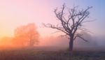 Beautiful Spring Landscape Stock Photo