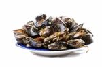 Blue Mussel Bivalve Stock Photo