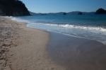 Hahei, New Zealand - February 8 : A Summer Evening At Hahei Beac Stock Photo