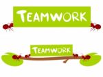 Red Ants Teamwork Illustration Stock Photo