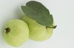 Guava Stock Photo