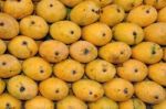 Mangoes Stock Photo