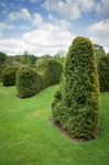 Clipped Hedge-topiary-trimmed Hedge Stock Photo