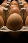 Eggs Poultry Concept Stock Photo