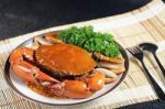 Singapore Chilli Mud Crab Stock Photo