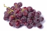 Red Wine Grapes Stock Photo