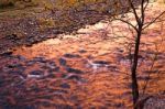 Virgin River On Fire Stock Photo