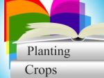 Planting Crops Indicates Agrarian Cultivation And Field Stock Photo