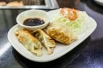 Fried Gyoza On White Dish Stock Photo