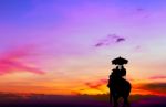 Silhouette Elephant With Tourist At Sunset Stock Photo