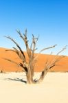 Dead Vlei Near Sesriem In Namibia Stock Photo