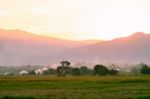 Cornfield With Farmland At Sunset Stock Photo