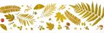 Background By Yellow Leaves And Orange Leaves And Dry Leaves And Flower Stock Photo