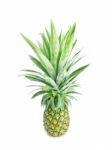 Pineapple Stock Photo