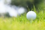 Golf Ball On Tee Stock Photo