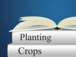 Planting Crops Indicates Plants Farmland And Cultivating Stock Photo