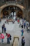 People Exploring  The National History Museum In London Stock Photo