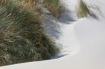 Sand Dunes Stock Photo