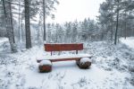 Wooden Bench In The Winter Park Stock Photo