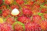 Rambutan Tropical Fruit Stock Photo