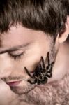 Portrait Of A Young Handsome Man With Spider On His Face Stock Photo