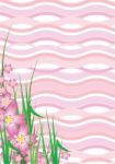 Wavy Sakura Blossom Stock Photo