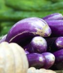 Eggplant And Pumpkin Stock Photo