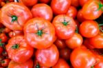 Close Up Of Fresh, Juicy, Ripe Tomatoes Pile. Lycopene And Antioxidant In Fruit Nutrition Good For Health And Skin. Flat Lay Stock Photo