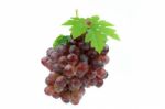 Red Grape Isolated On White Background Stock Photo