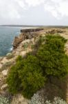 Beautiful Coastline Of Sagres Stock Photo